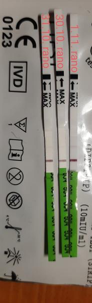 Kdy začít testovat těhotenství?