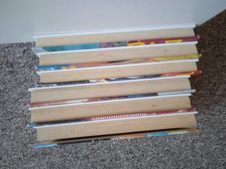 Knihy lenka lanczová, 