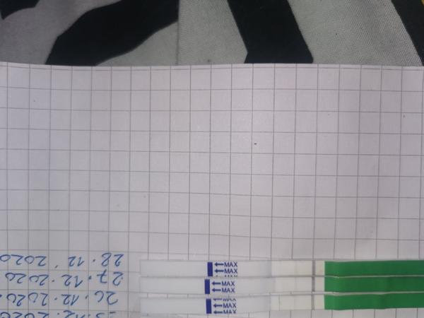 Je možné, že ovu už proběhla?