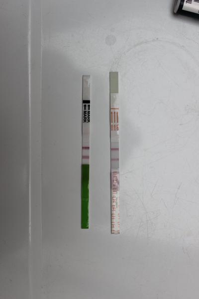 Ovulace asi dnes, že?