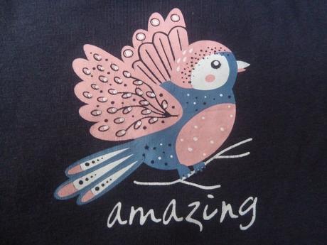 Triko s ptáčkem, tylová sukýnka, lupilu,122