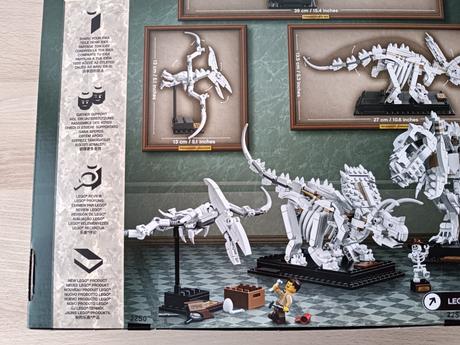 Lego ideas 21320 dinosauří fosilie, 