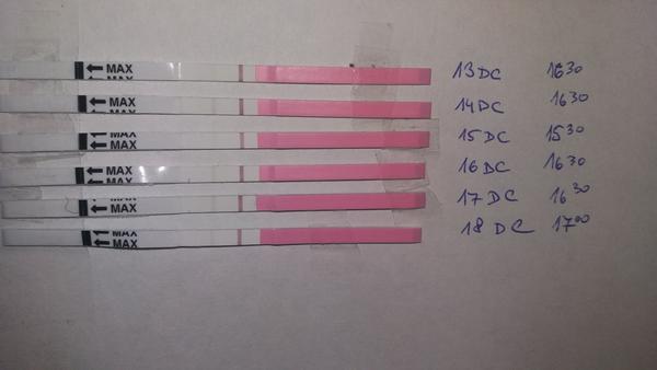 Co myslíte, přijde ještě ovulace? Nebo se jedná o anovulační cyklus