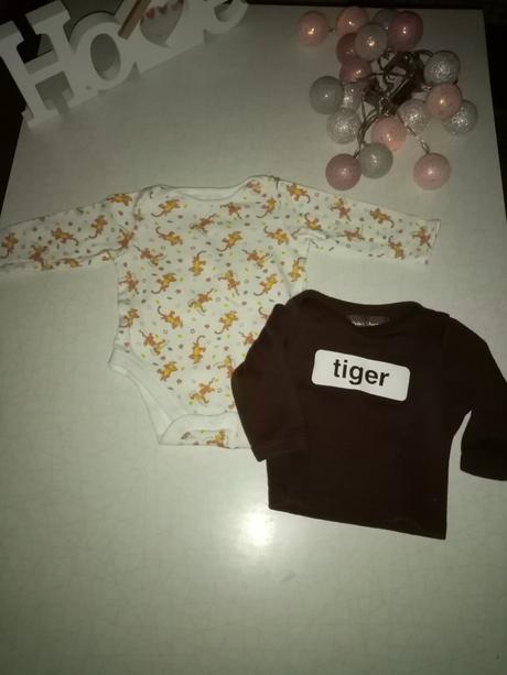 Setik tygrik, 50–62