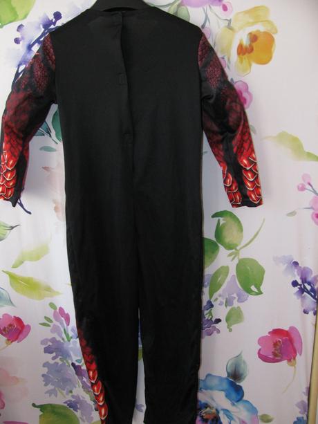 Karneval - overal drak halloween,