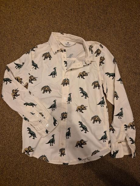 Chlapecká košile s dinosaury h&m vel. 134, h&m,134