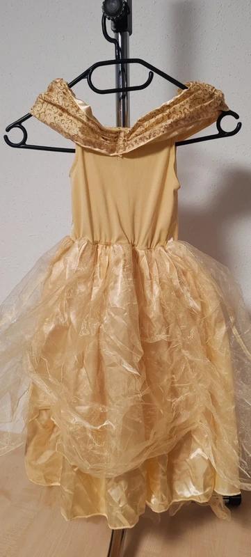 Šípková růženka, princezna, 