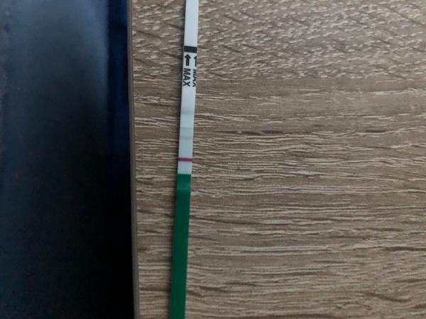 Skoro každý den testuji (testy od pátku 25.9.). Mohla bych být těhotná?