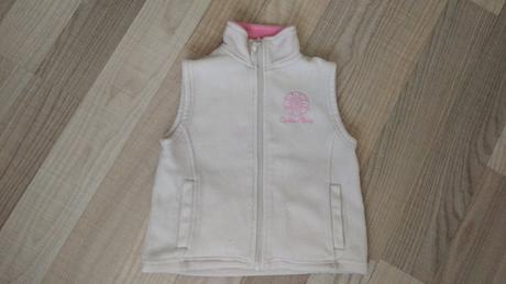 Vesta, cactus clone,104