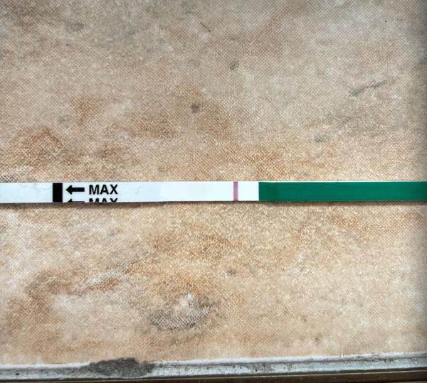 Může se jednat o potrat nebo zahnizďování?