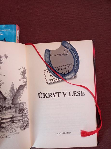 Detektivní knížky pro kluky,