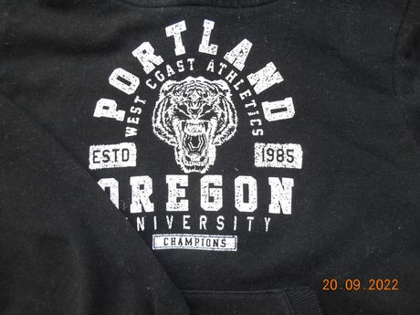 Chlapecká mikina, primark,110