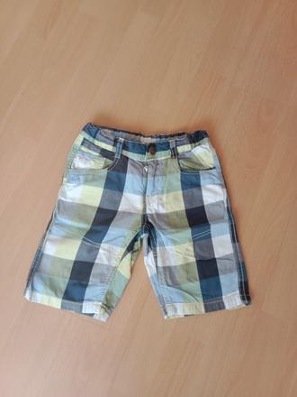 Kratasy, palomino,104