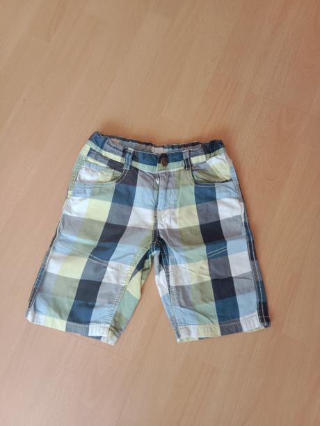 Kratasy, palomino,104