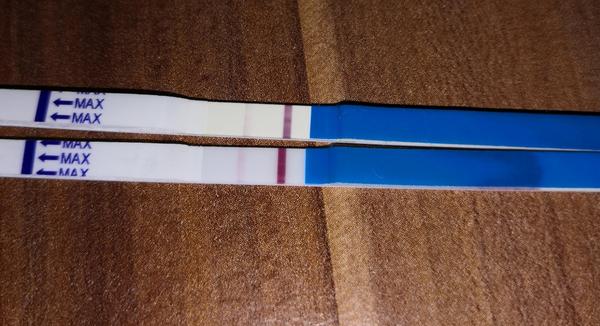 Test. Zda se mi to nebo duch nesílí?