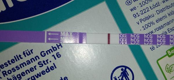 Je vzniklé těhotenství po 11 dnech po IUI?