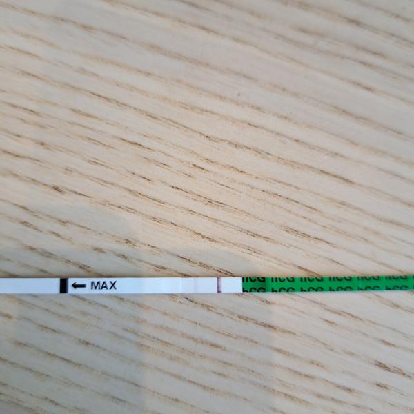 Kolísání hormonů nebo duch na testu?