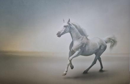 Obraz- plátno s koníkem, 