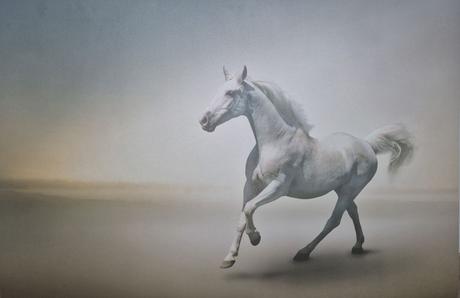 Obraz- plátno s koníkem, 