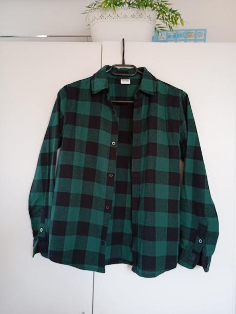 Károvaná zelená košile, gate,152