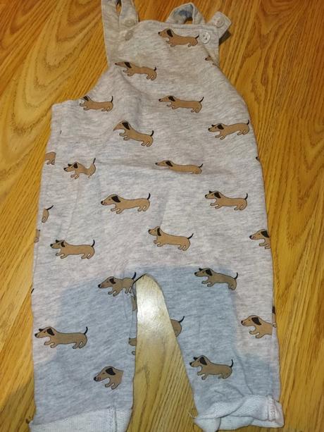 Lacle, lacláče se psi 74, h&m,74