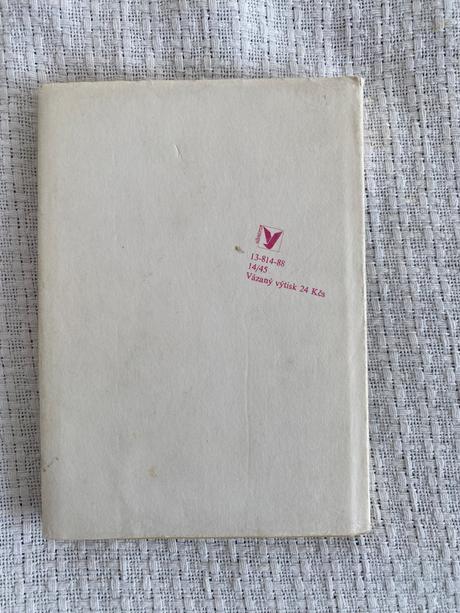 Róza, strážné strašidlo - pro čtenáře od 10 let,