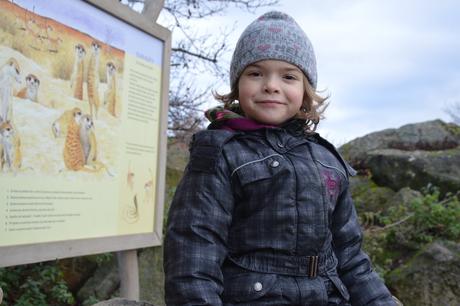 Růžovo-šedivá čepice hello kitty, sanrio,116