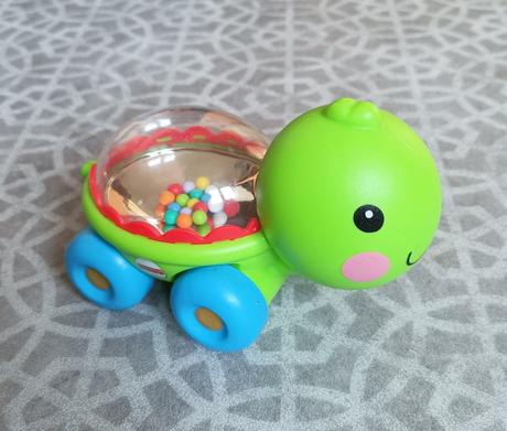 Želva jezdící, chrastící, 