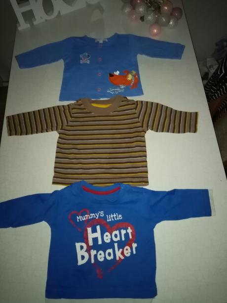 Trička, st. bernard,62