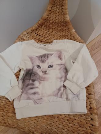 Kočičková mikina h&m 110/116, h&m,116