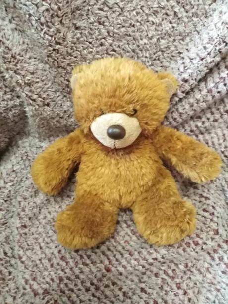 Plyšový medvídek, 