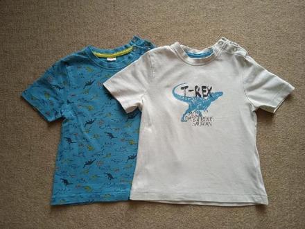 Trička s dinosaury, 86