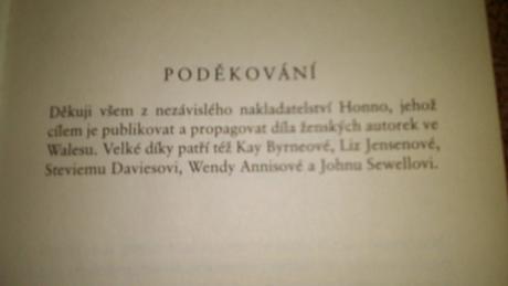 Dobrodružný román, 