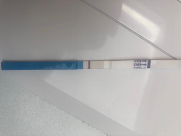 Jsem těhotná? Nebo to může být chybný test?