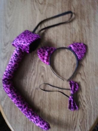 Sada na karneval - kočičí doplňky.,