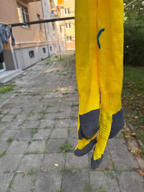 Štulpny, puma