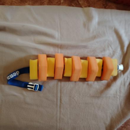 Plavecký pás dena,