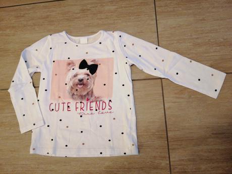 Triko s yorkshirem, 110