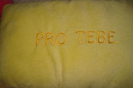 Plyšový polštářek, 