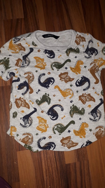 Šedé tričko s dinosaury 92 george, george,92