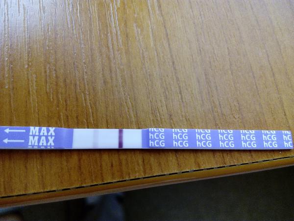 Jsem těhotná nebo ne?