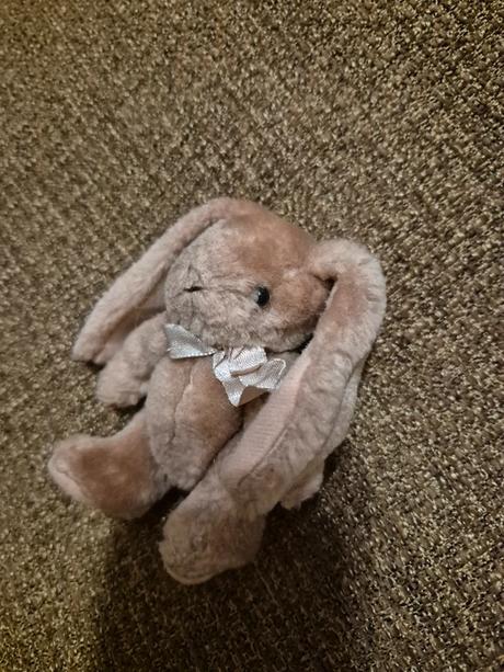 Plyšový kralíček, 