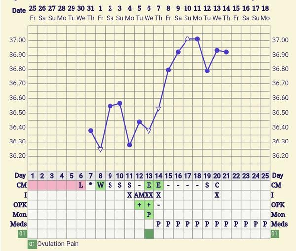 Bazální teplota při Utrogestanu: Může někdy klesnout?