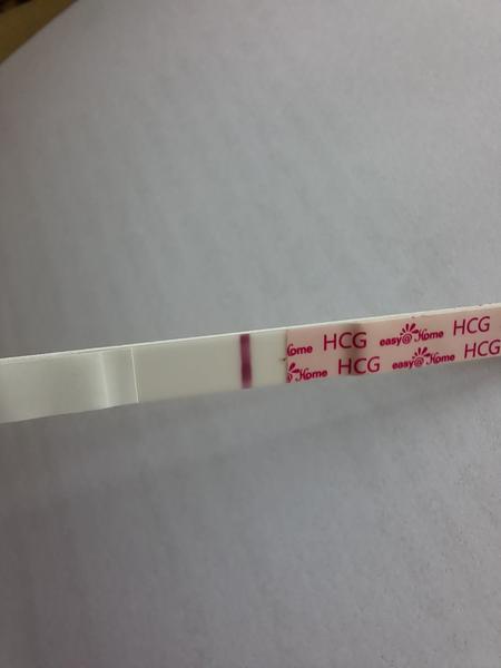 Stínek po 7 dnech: Duch nebo ryska?