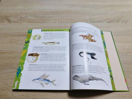 Encyklopedie předškoláka,