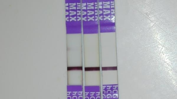 Vadný těhotenský test? Byl déle namočený