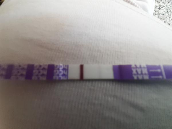 Vyšel duch na těhotenském testu. Co to znamená?