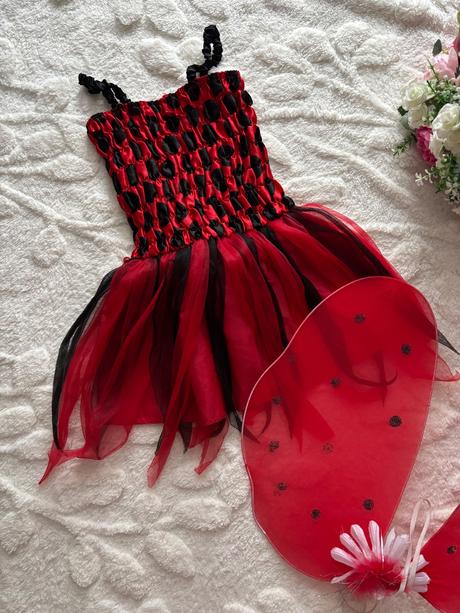 An26/ kostým beruška- v.cca 2/3 roky, 