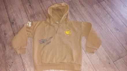 Mikina dino, pepco,134