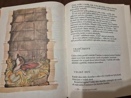 2 knihy "lesní schovávačky" a "rok v lese",